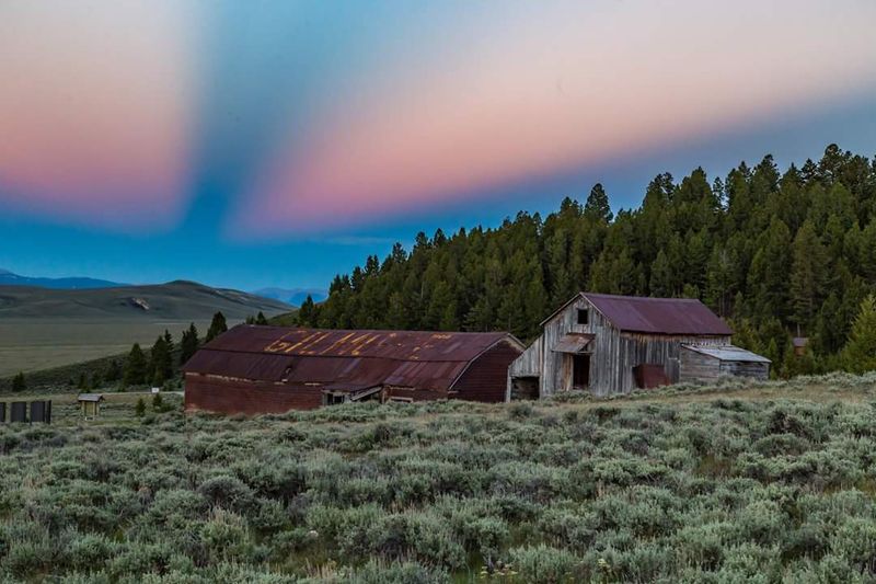 Gilmore: Barely There But Still Breathing