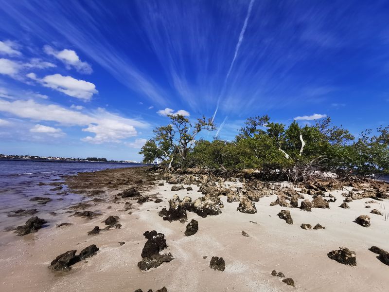 Munyon Island, John D. MacArthur Beach State Park