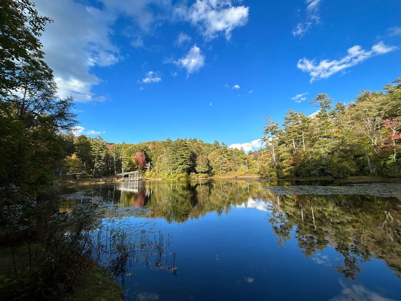 Erosion of Authenticity