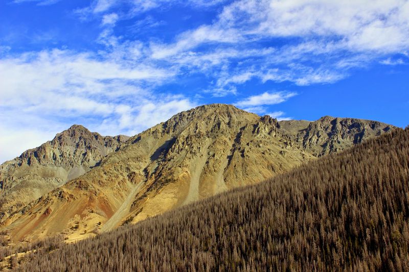 Weather as the main character