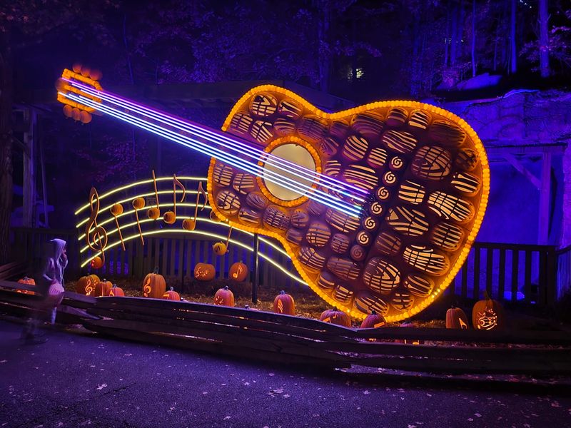 Dollywood and Farewell