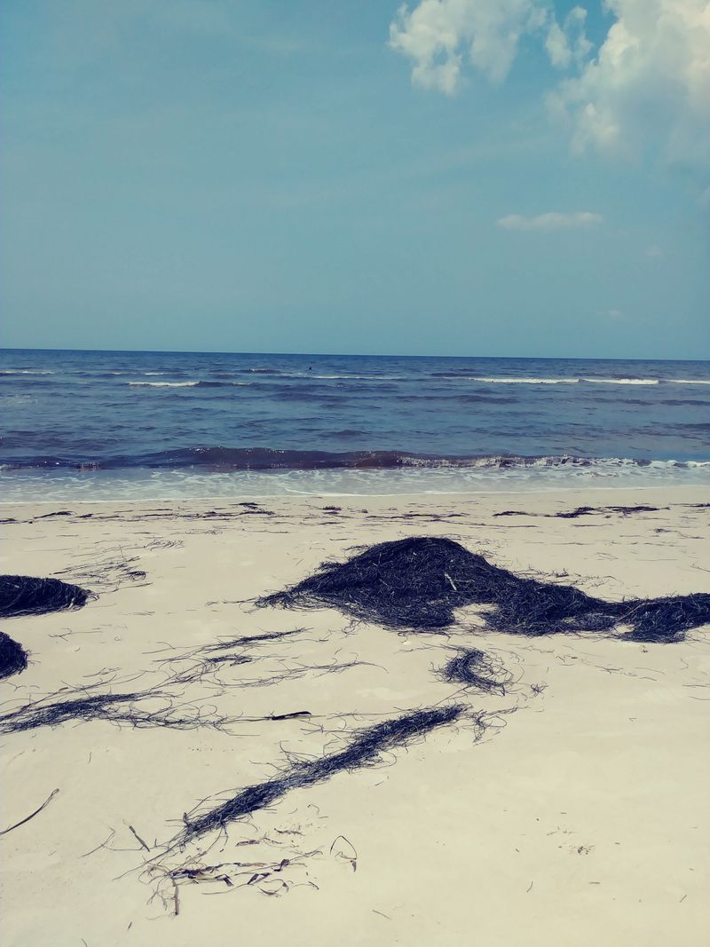 Alligator Point Beach, Alligator Point Rd, Alligator Point, FL 32346