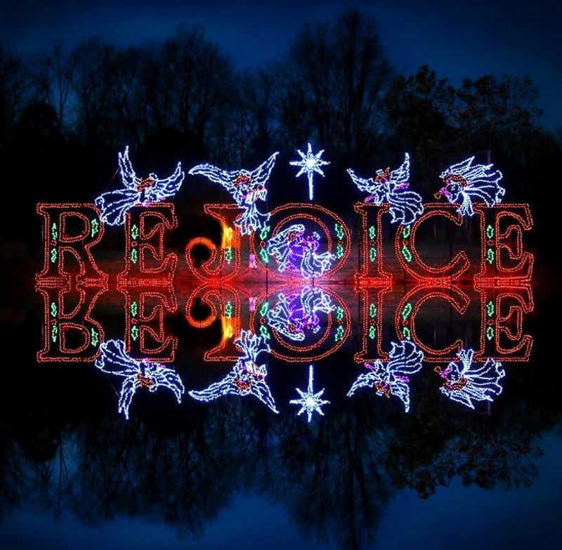 A Botanical Paradise Transformed by Light