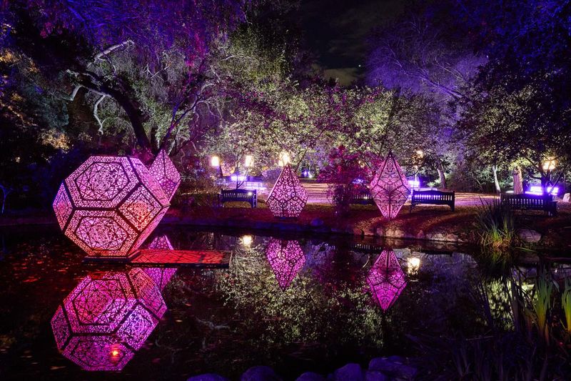 Enchanted Forest of Light at Descanso Gardens, 1418 Descanso Dr, La Cañada Flintridge, CA 91011