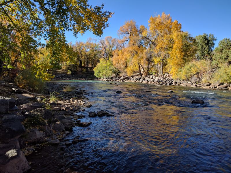 Never Feed Wildlife, It Is Illegal