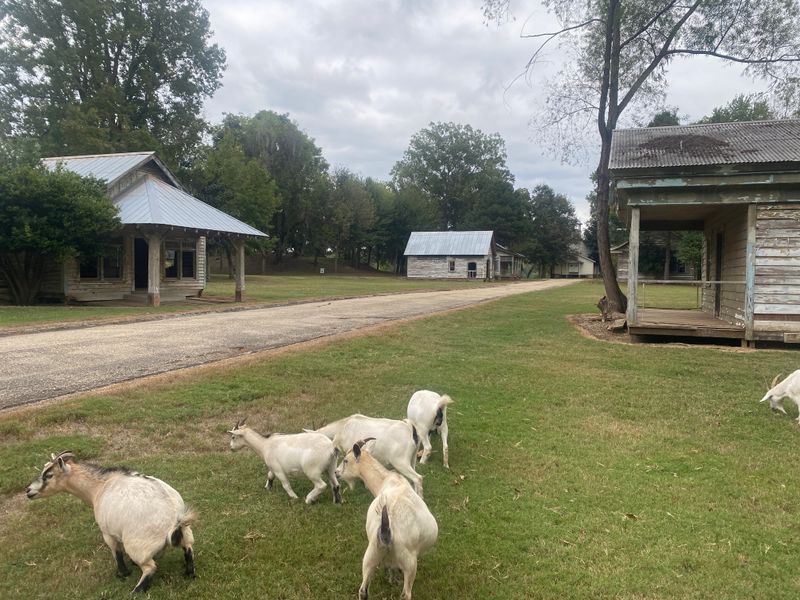 Jackson Lake Island, 5301 Jackson Lake Rd, Millbrook, AL