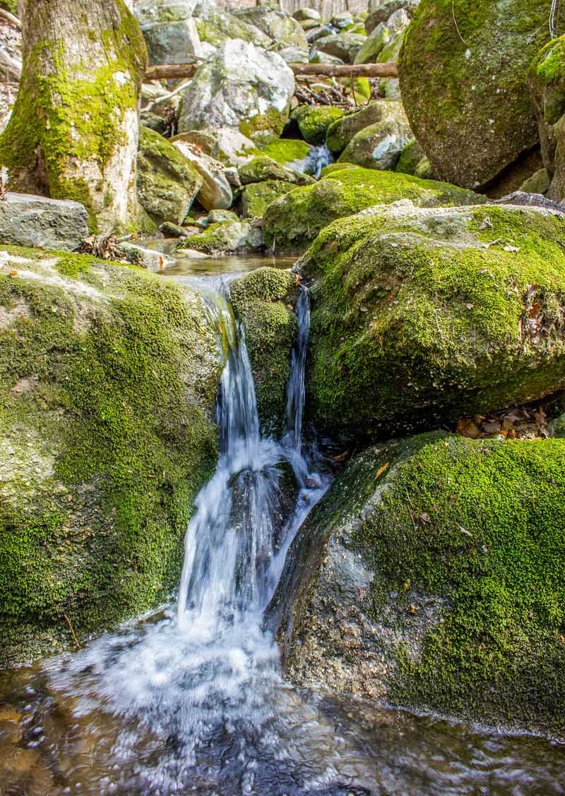 Sweet Springs Retreat