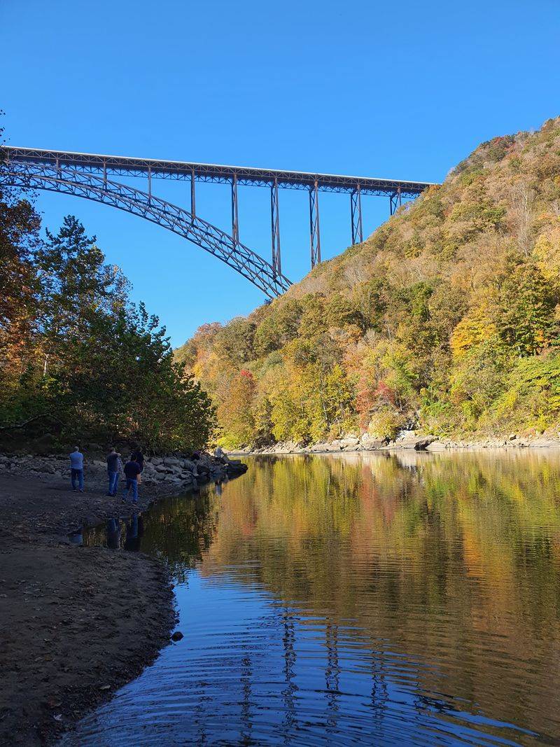 Fishing Lines And Foraged Ramps