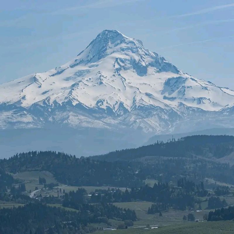 Hood River Valley in Summer