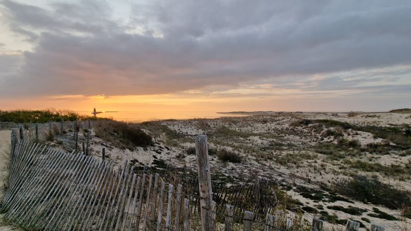 Cape Henlopen State Park Trails