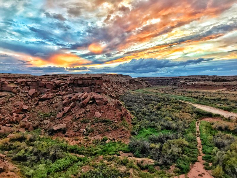 First Cold Morning, Head South