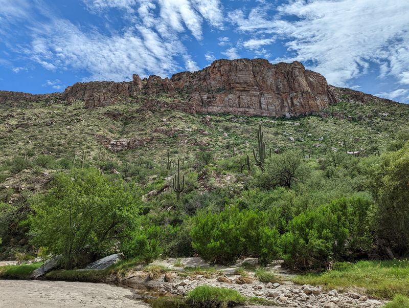 Sabino Canyon