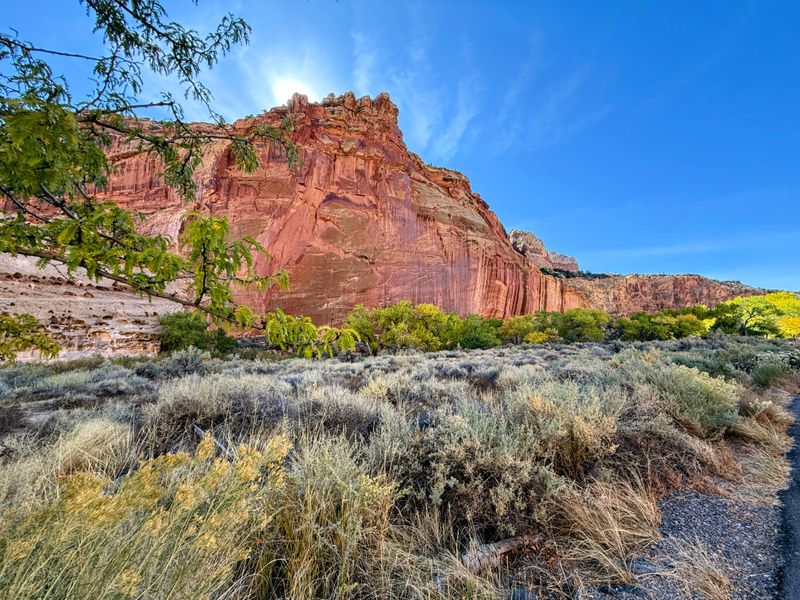 Capitol Reef National Park