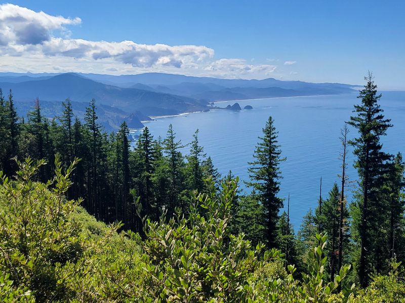 Humbug Mountain Summit Trail