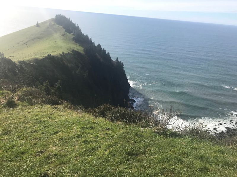 Cascade Head Trail Summit