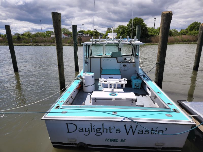 Lewes Harbor and Working Waterfront