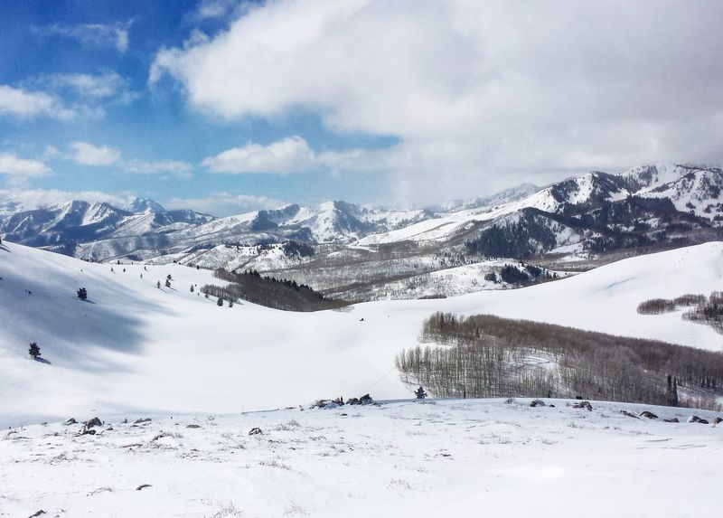 Deer Valley Luxury Laps and Fine Groomers