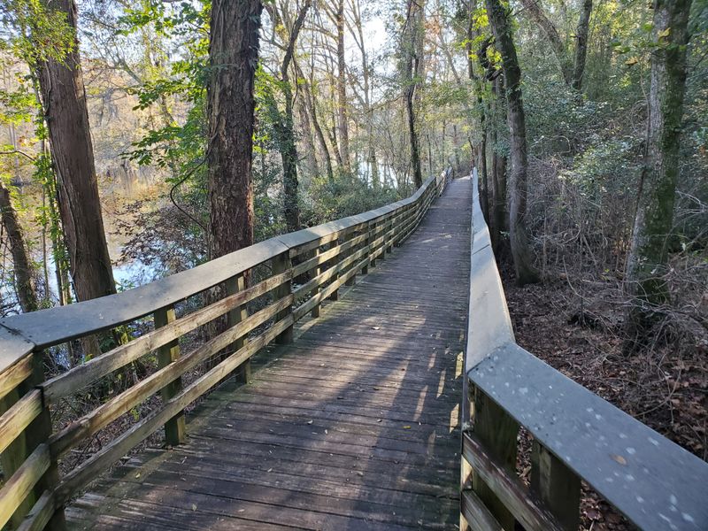 Lumber River Walk