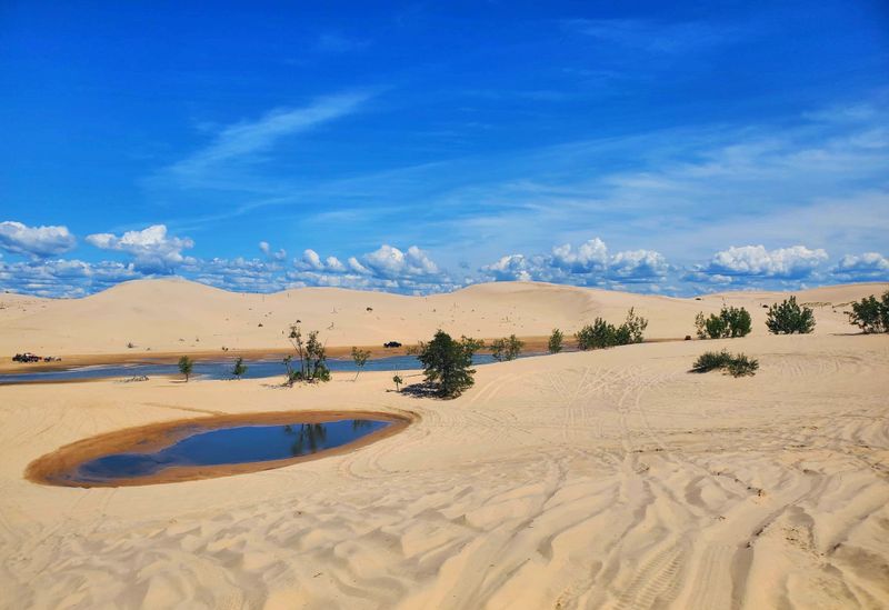 Silver Lake Dunes and Buggy Traffic