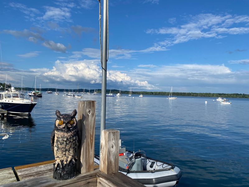 Wadsworth Cove Beach and Backshore