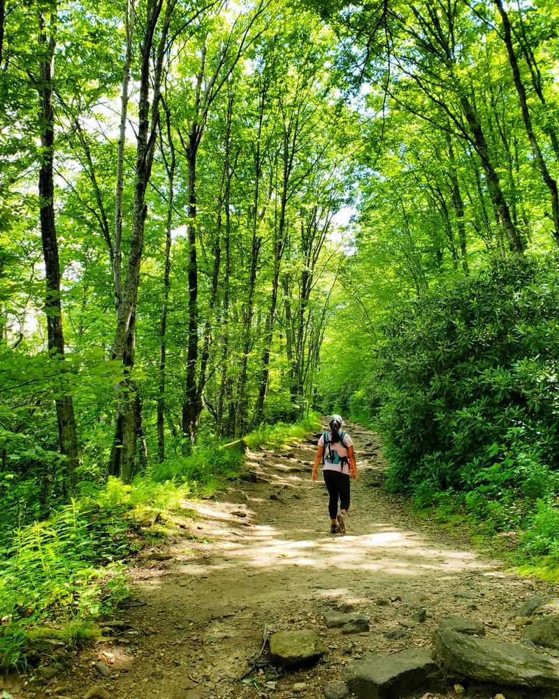 Overcrowded Trails and Natural Sites