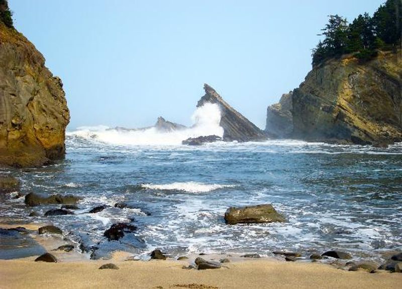 Watch king tides at Shore Acres State Park