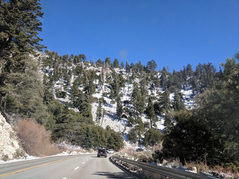 Year Round Appeal With Winter Magic