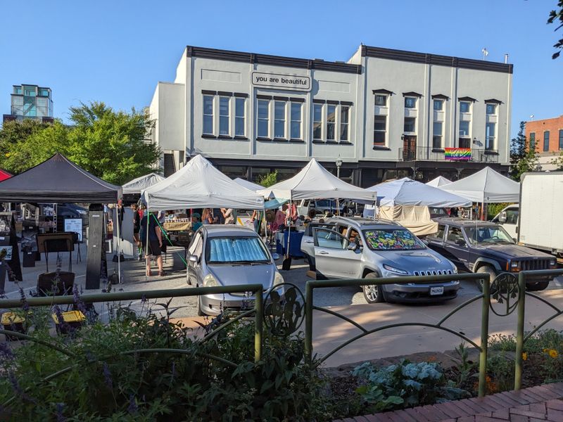 Environmental Impact of Increased Traffic