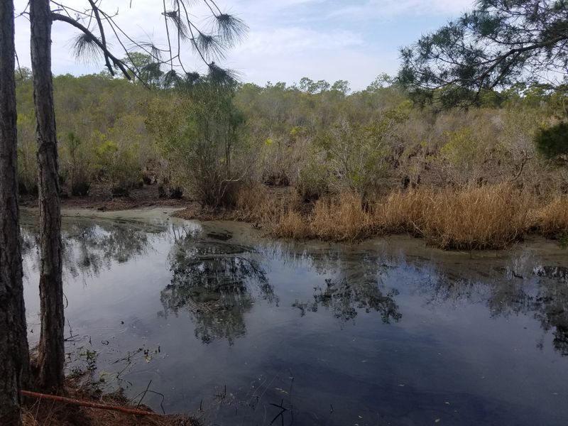 Natural Surroundings and Wildlife Watching