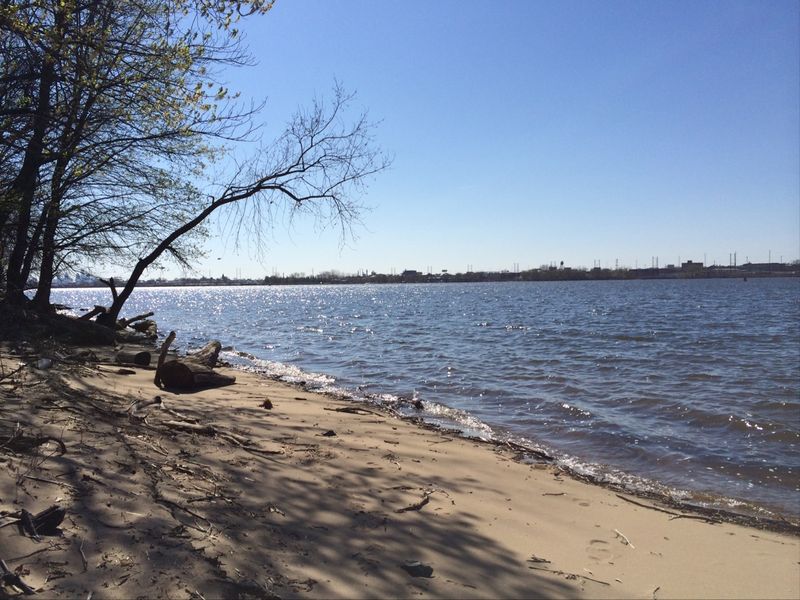 Peaceful Mornings at Clark Park Beach