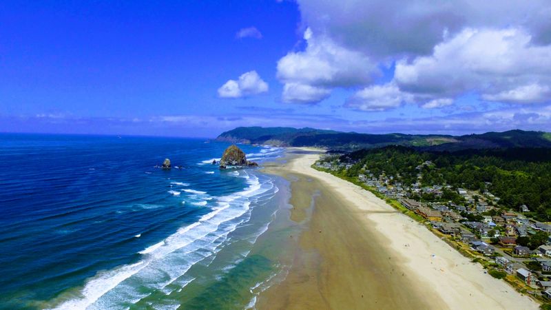 Vast Sandy Beach Days