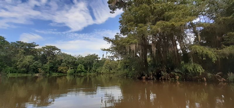 The Mobile-Tensaw Delta