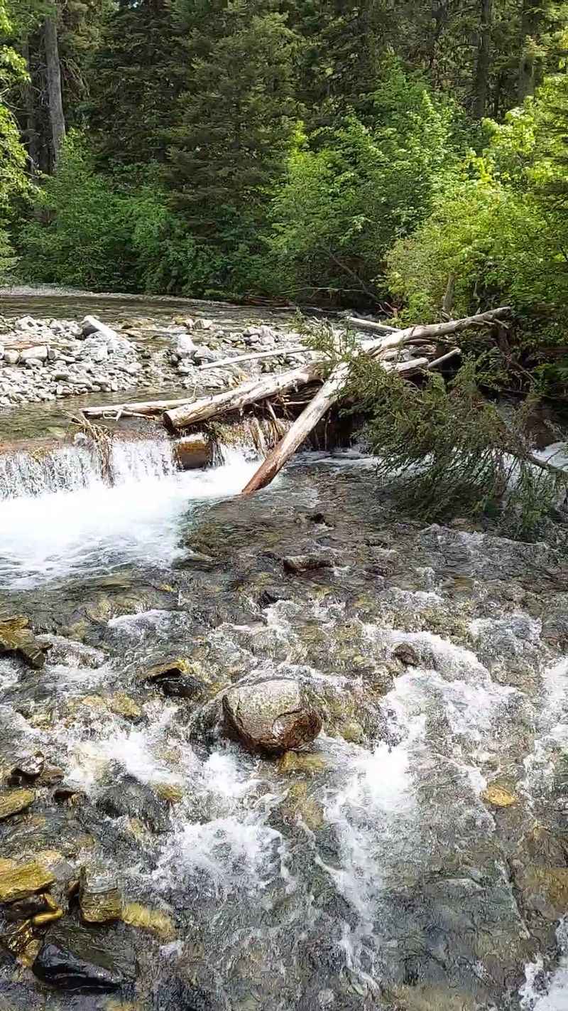 Paradise Valley near Livingston