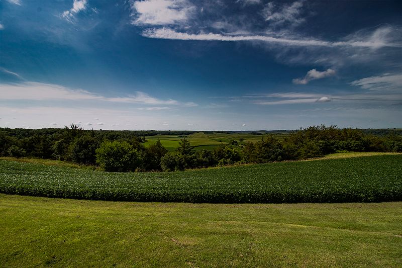 The Absence of Advertising and Commercial Messages