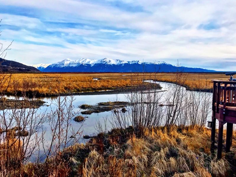 Potter Marsh Bird Sanctuary, 2999 E 154th Ave, Anchorage, AK 99516