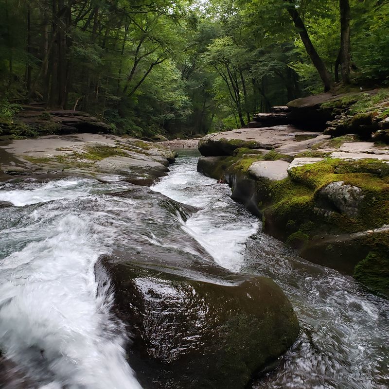 Blue Hole Natural Swimming Spring