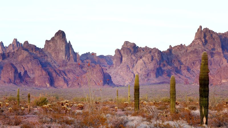 Kofa National Wildlife Refuge