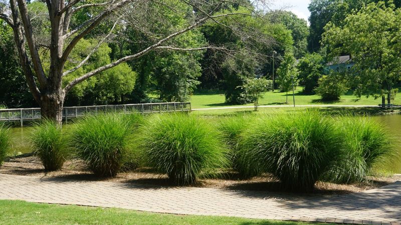 Keep the Pace Unrushed and Observant