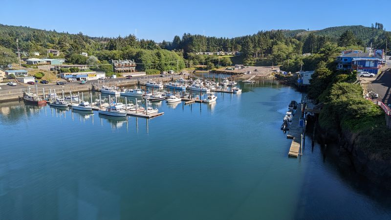 Fishing Charters and Gentle Mornings