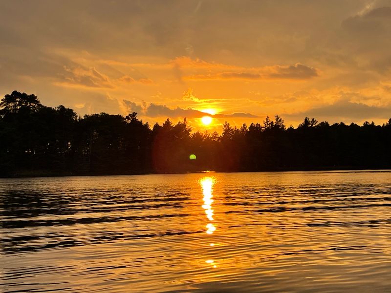 Leeches Are A Mental Block