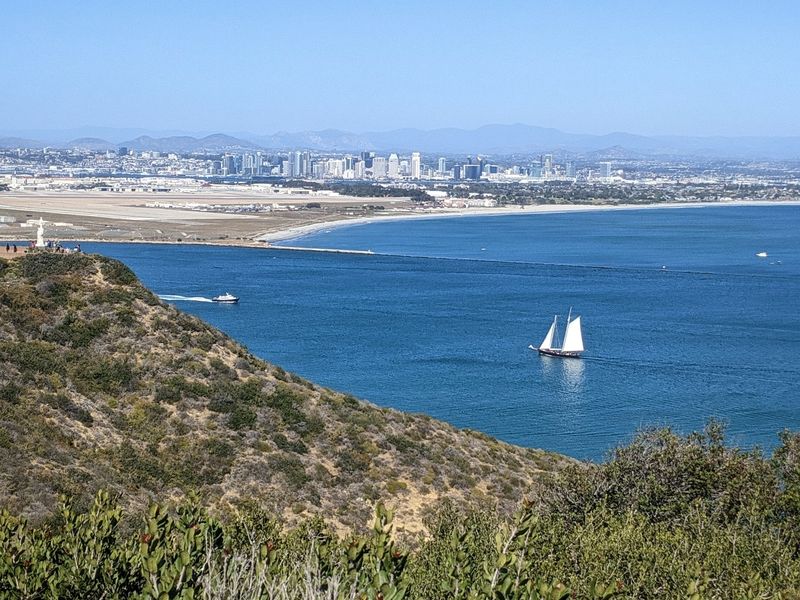 Kelp Is A Season, Not Just Seaweed