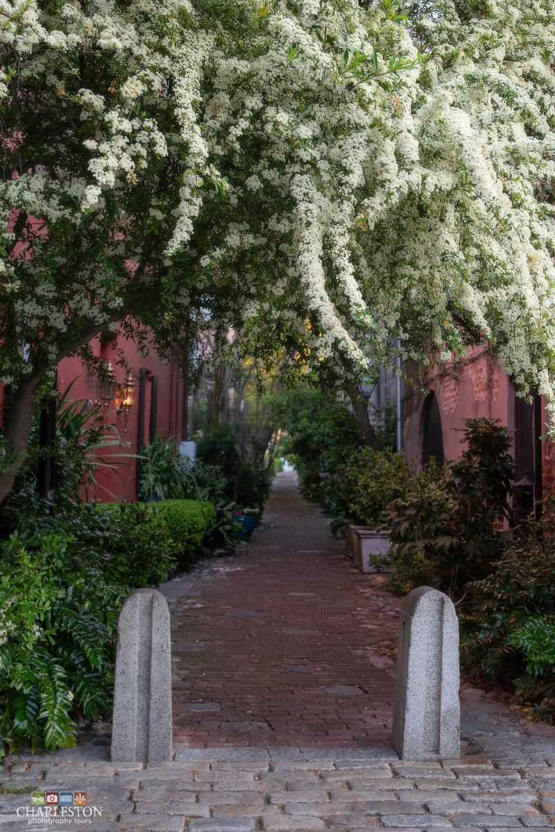 Treating Private Courtyards As Public Backdrops