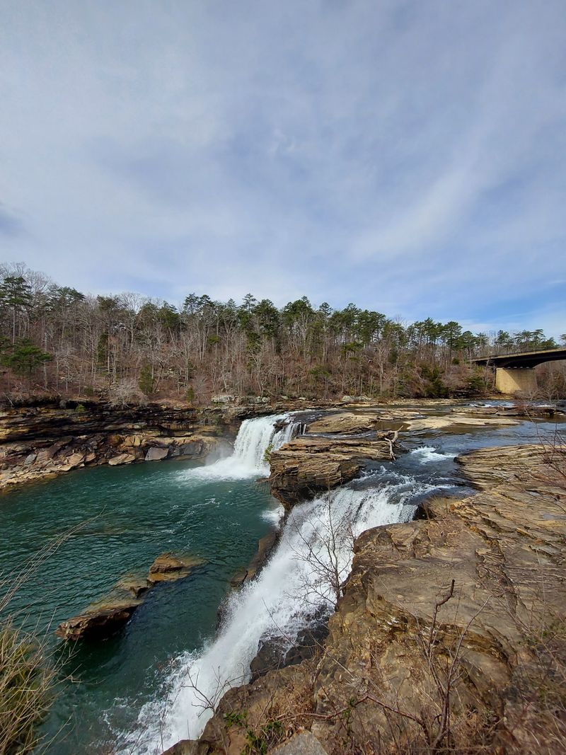 Frosted Trails At DeSoto State Park
