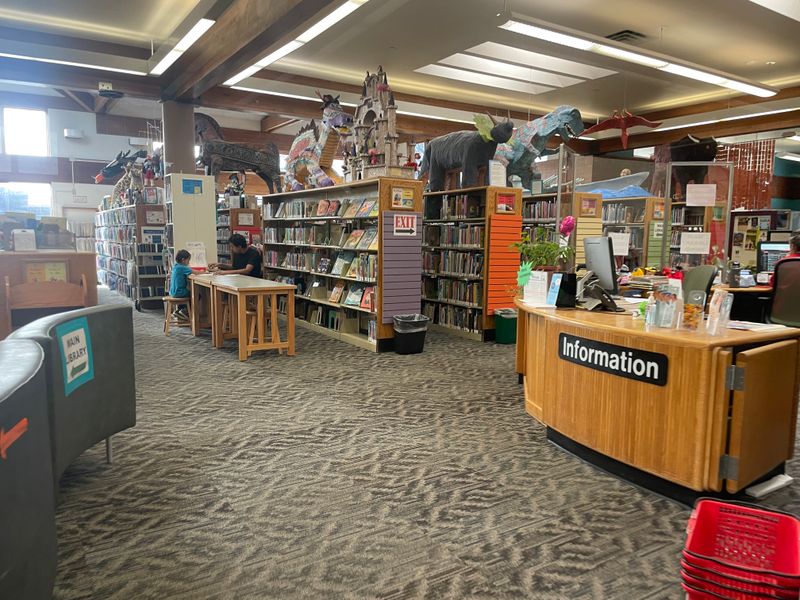 Flagstaff Public Library Pause