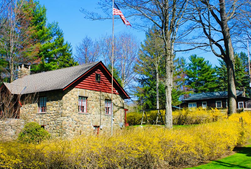 Seasonal Foliage and Natural Beauty