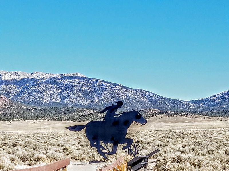 Dark Sky Sanctuary Nights