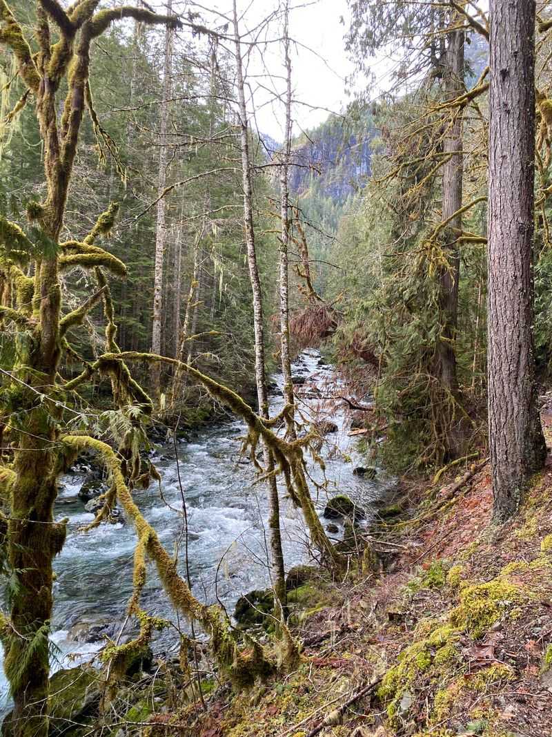 Duckabush River Timber Nook, Eastern Olympics