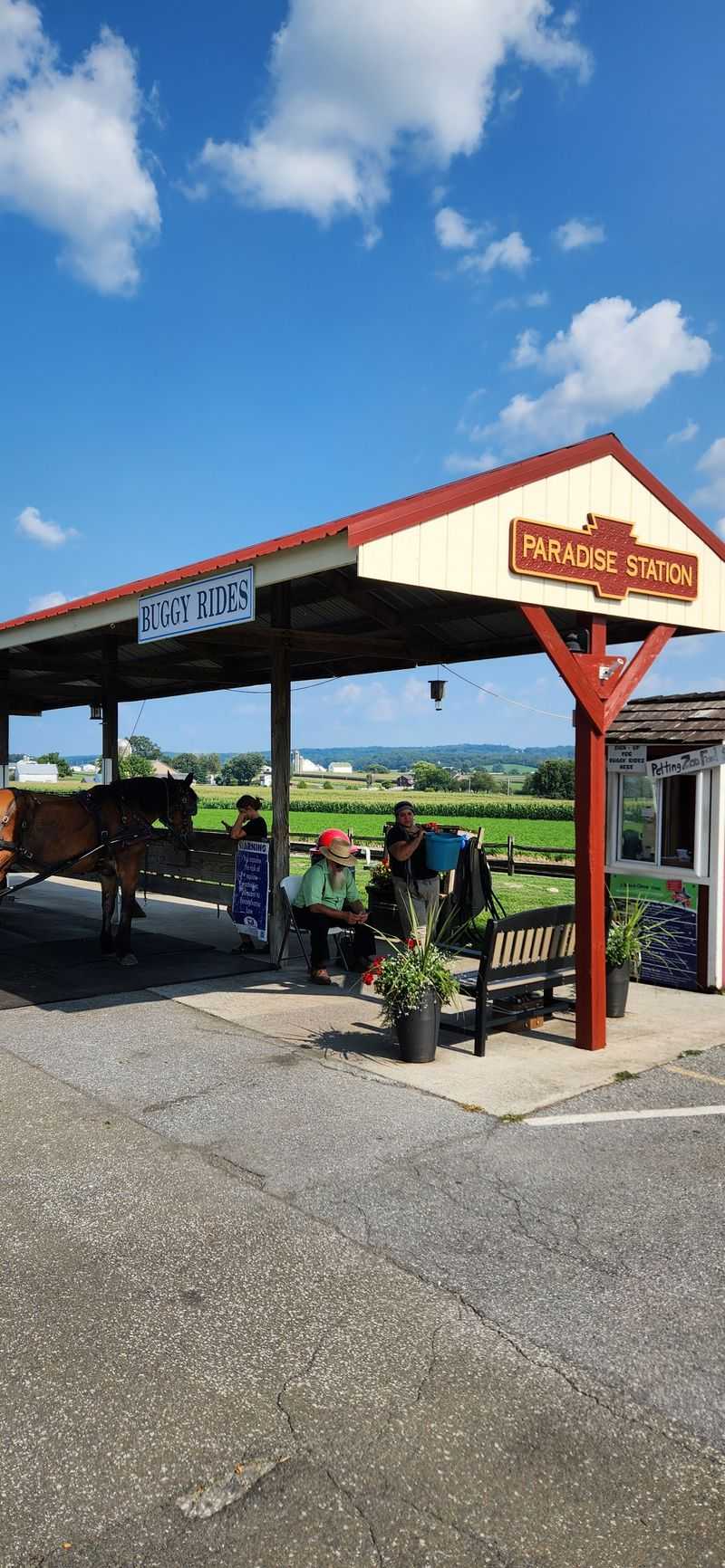 Final Verdict And Traveler Advice