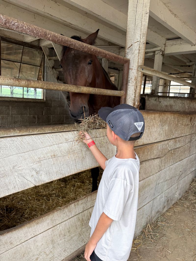 Children Playing Outside Without Supervision or Fear