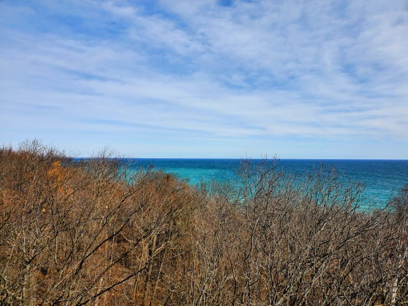 The Landscape of Simplicity: Snow as a Unifying Blanket